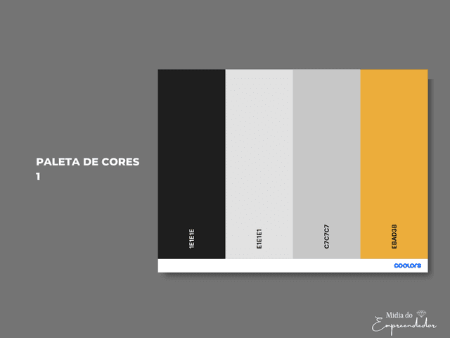 IDENTIDADE VISUAL de PALETA DE COR - 1