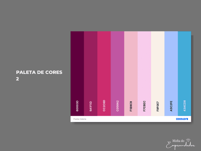 IDENTIDADE VISUAL de PALETA DE COR - 2