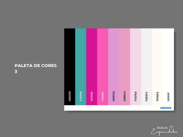 IDENTIDADE VISUAL de PALETA DE COR - 3