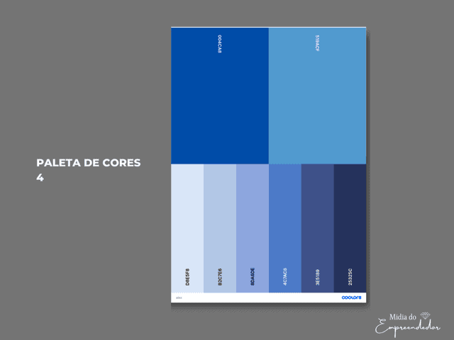 IDENTIDADE VISUAL de PALETA DE COR - 4