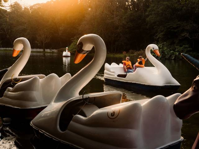 Ensaios de Família Farias | Ensaio