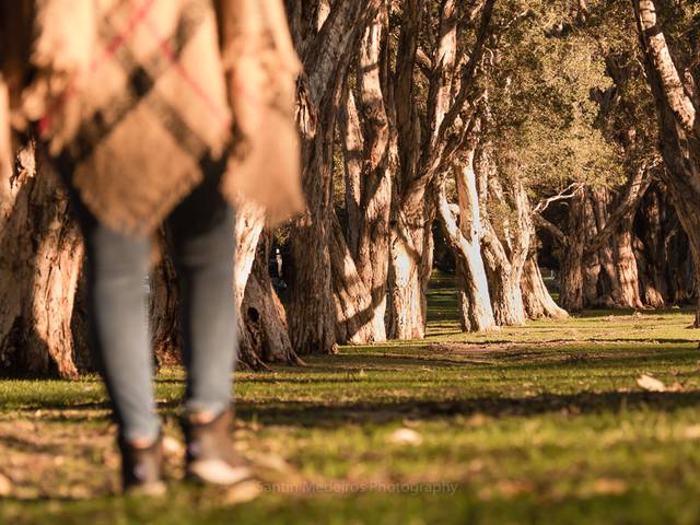 Aventureras imparables de Poliana