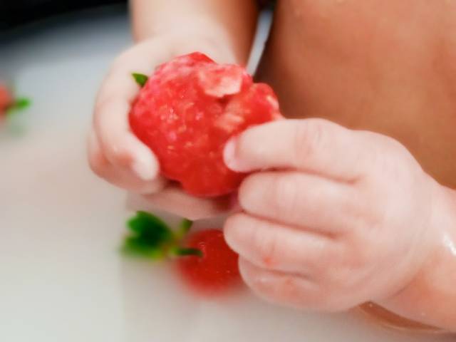 Smashs the Fruit  de Luis Antônio - 8 meses