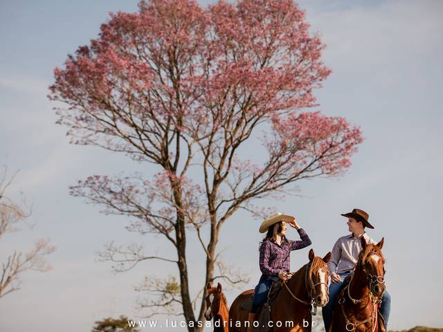 Ensaios de casais de Daiane e Andre
