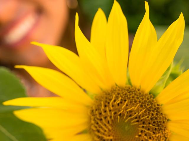 Minhas Fifteens de Letícia Ensaio 15 anos