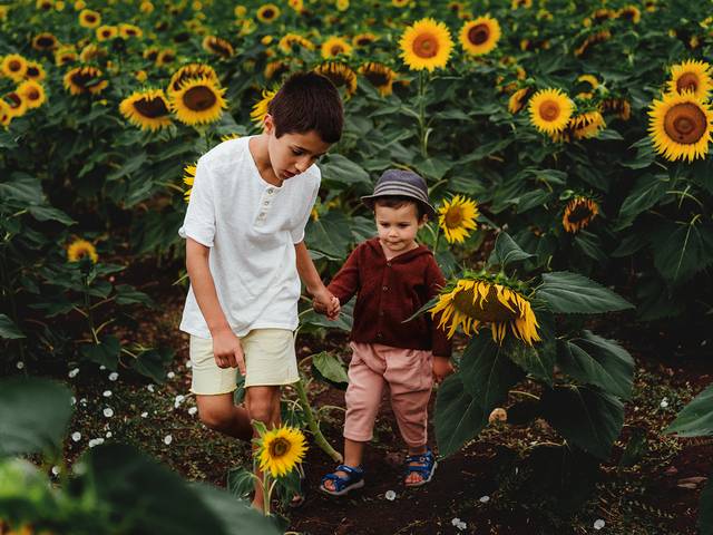 crianças de Girassóis-sessão 