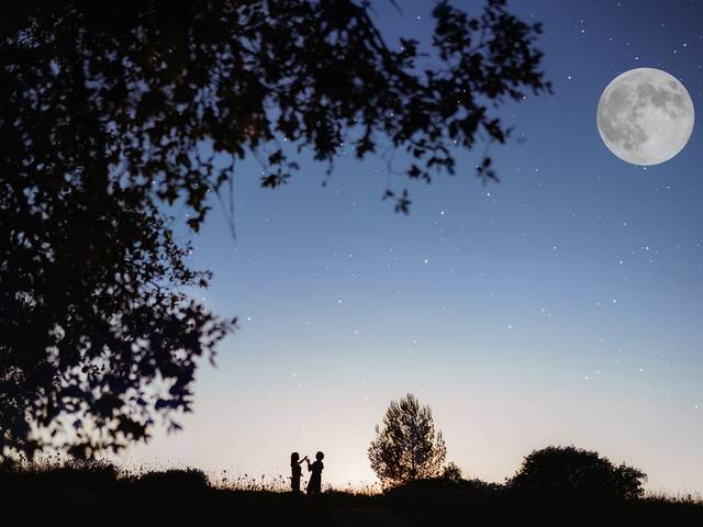 família de Formação individual- retrato de família 