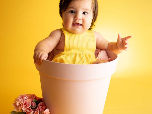 Acompanhamentos de ANA LIZ