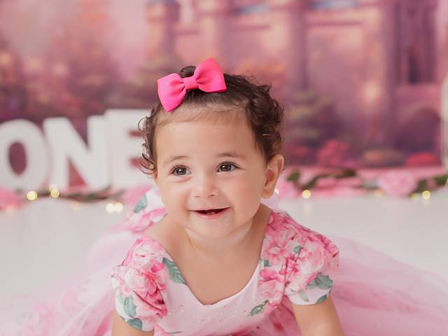 ACOMPANHAMENTO  DO BEBÊ de LARISSA - MEMÓRIAS DE AMOR - 1 ANO