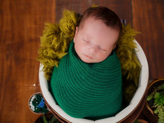 NEWBORN de DAVI - 12 DIAS 