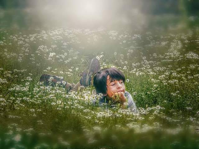 Família  de Família/crianças 