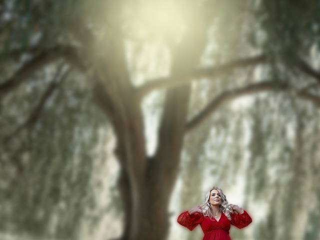 Gestantes de Sessão Gestantes 