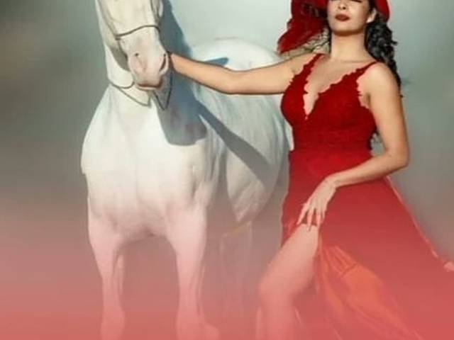 Paisagens de Sessão ensaio na praia com cavalo