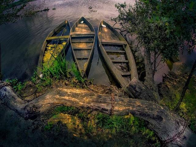 Paisagens de paisagens