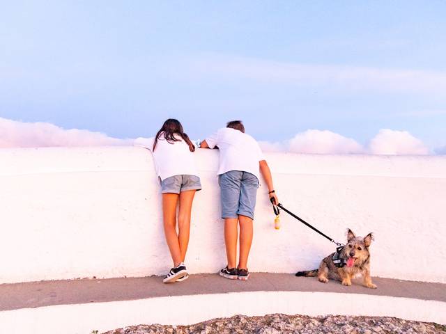 Família de Família