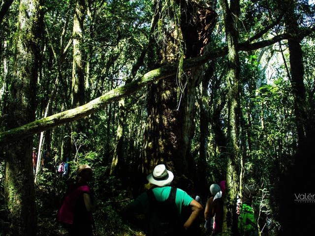 Trekking- Corridas de Trekking Gaia Trip 