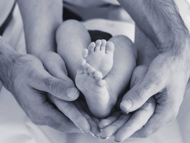 Family Portrait of Gorgeous Family