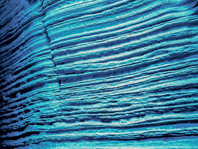 Green House Curadoria por Eliene Lucindo de A Forma da Água