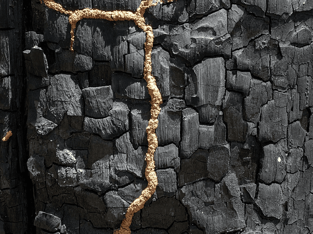 Green House Curadoria por Eliene Lucindo de A Natureza Resiste