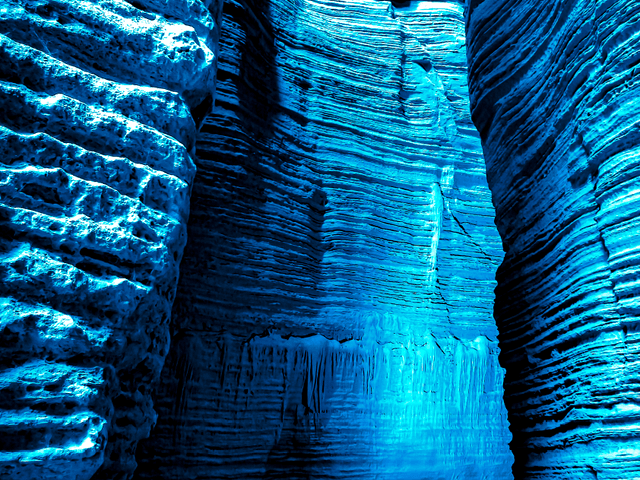 Green House Curadoria por Eliene Lucindo de Blue Cave