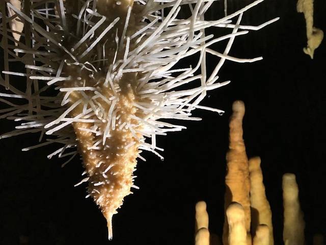 Green House Curadoria por Eliene Lucindo de Clava Carrara