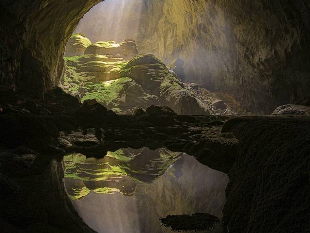 Green House Curadoria por Eliene Lucindo de Garden of Eden