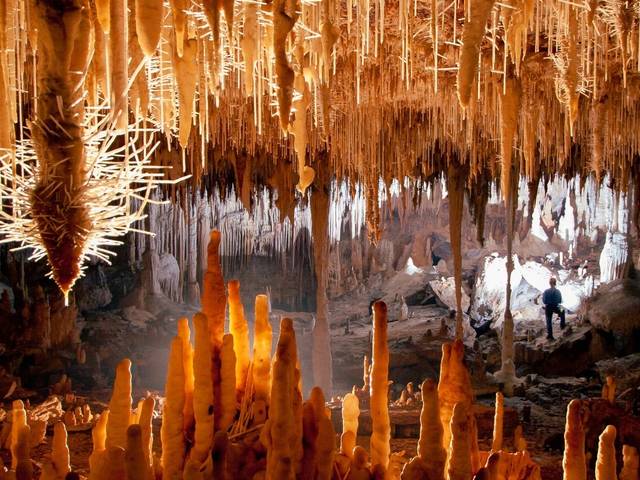 Green House Curadoria por Eliene Lucindo de Salão 700