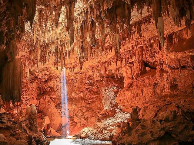 Green House Curadoria por Eliene Lucindo de Salão do Raio