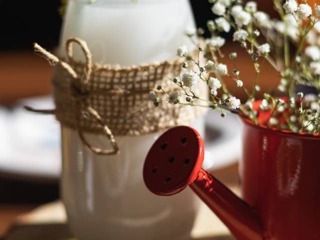 Eventos de Aniversário Theo