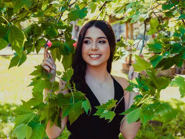 Book de 15 anos de Vitória