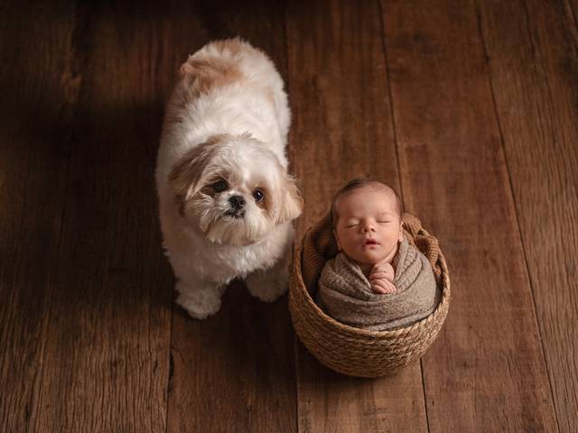 Newborn de Vicente 5 dias