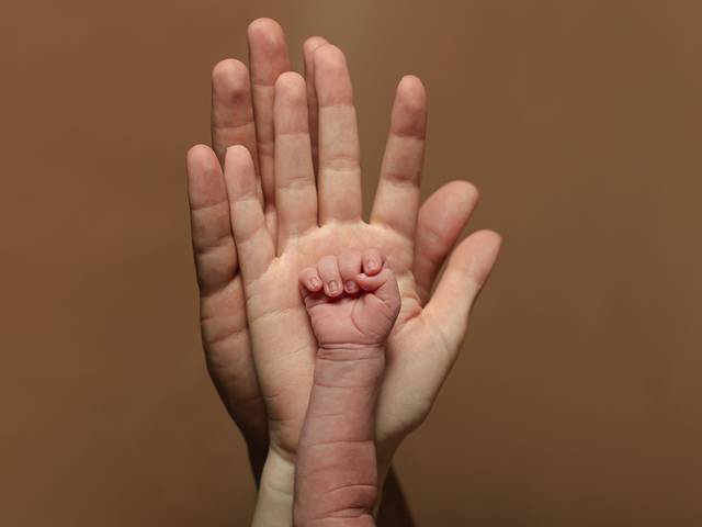 Histórias de Família Medeiros  