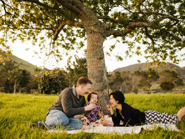 Familia  de Familia Lam