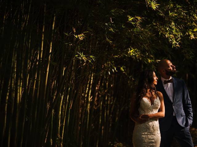 Casamentos de Rita e Joao