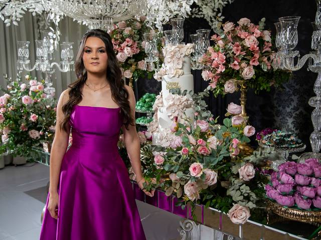 Aniversários de 15 anos Sophia