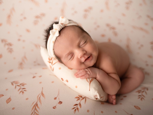 Everlight portfolio image 6