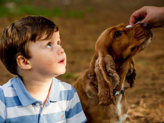 Sessões crianças de Eduardo