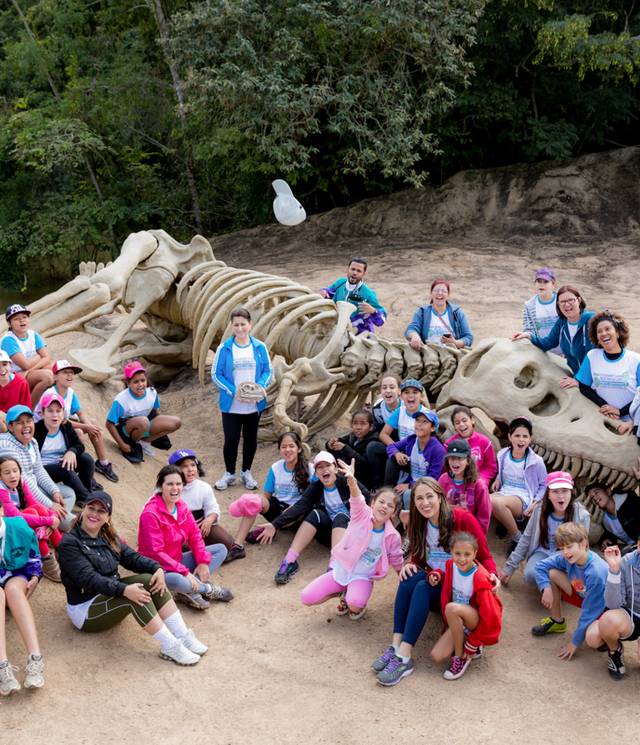 Corporativos de Portfólio Corporativos