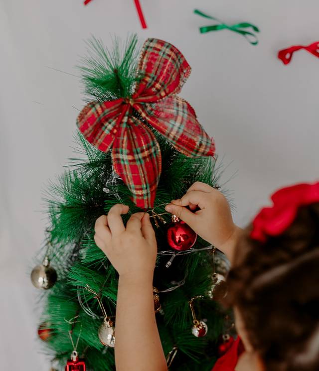 Família de Natal em Família