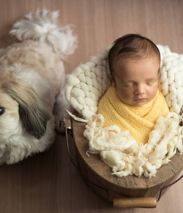 Newborn  de Newborn Bruno