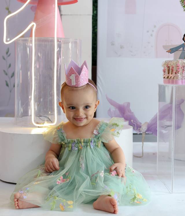 Aniversário Infantil de Aniversário - Liz