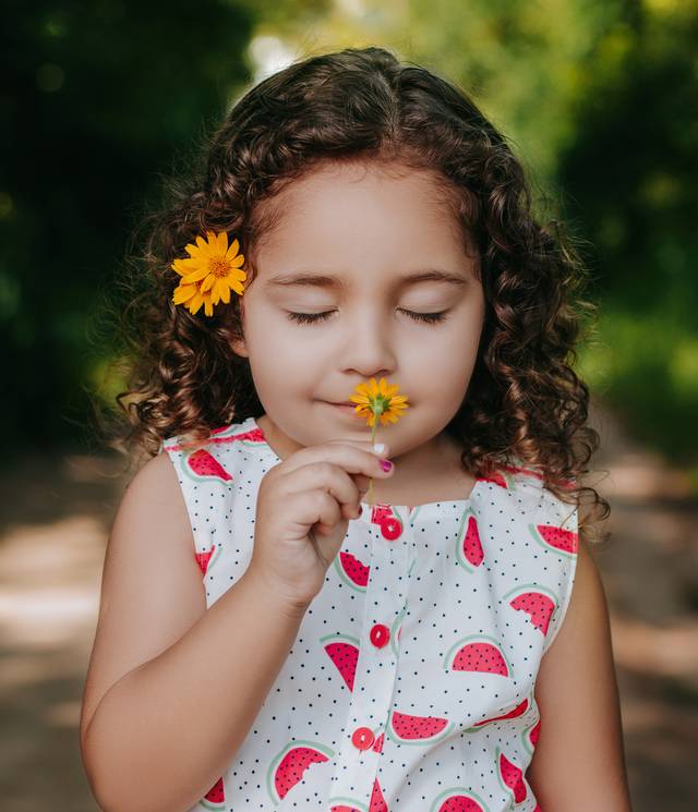 Newborn e Infantil de Sophia aos 3 anos