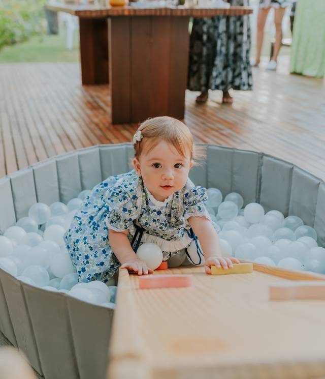 Festa Infantil de Festa de 1 ano Sofia- Ilha do Governador- Rio de Janeiro