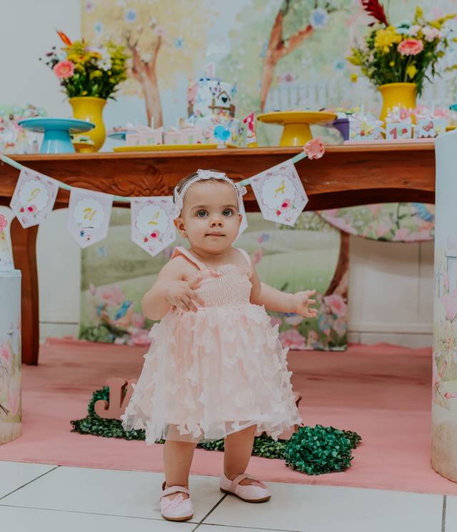 Festa Infantil de 1 ano Julia