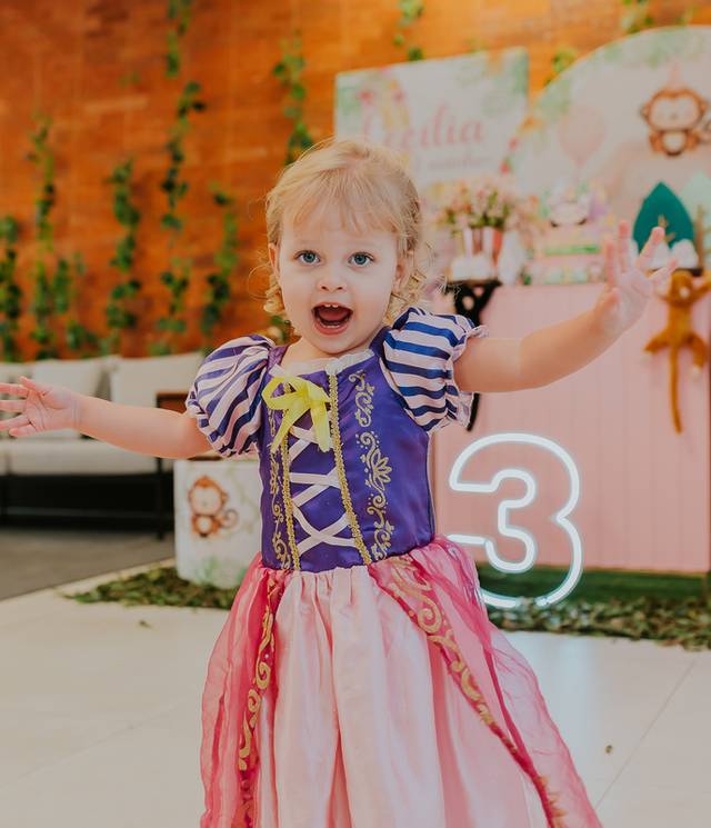 Festa Infantil de Festa de 3 anos Cecília- Botafogo, RJ