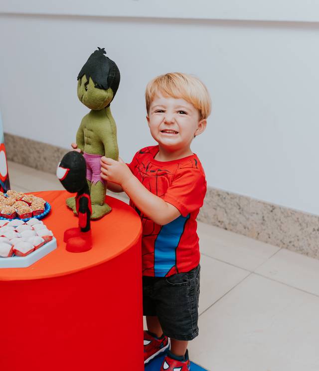 Festa Infantil de Festa de 2 anos do Davi- Niterói, Rio de Janeiro 