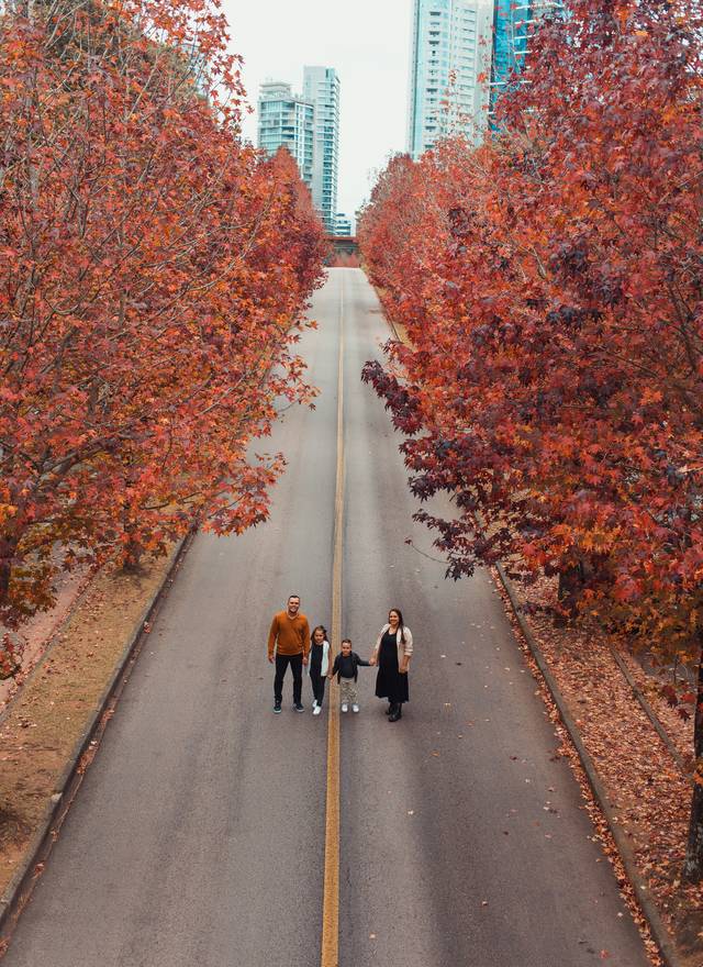 Rua do Outono  de Evelyn