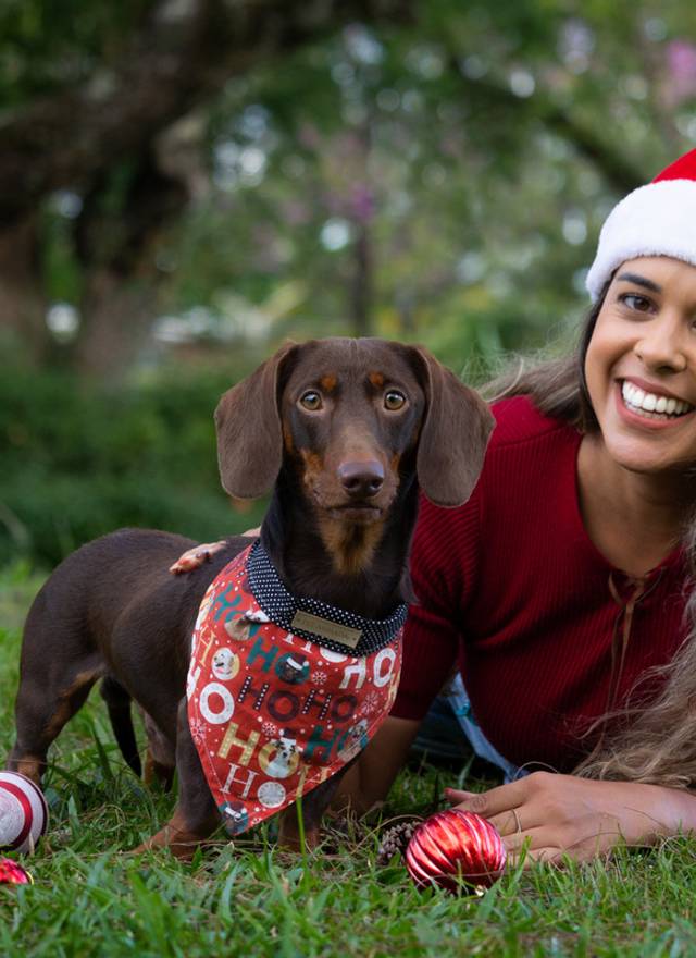 Ensaio temático pet de Ensaio pet tema Natal ao ar livre