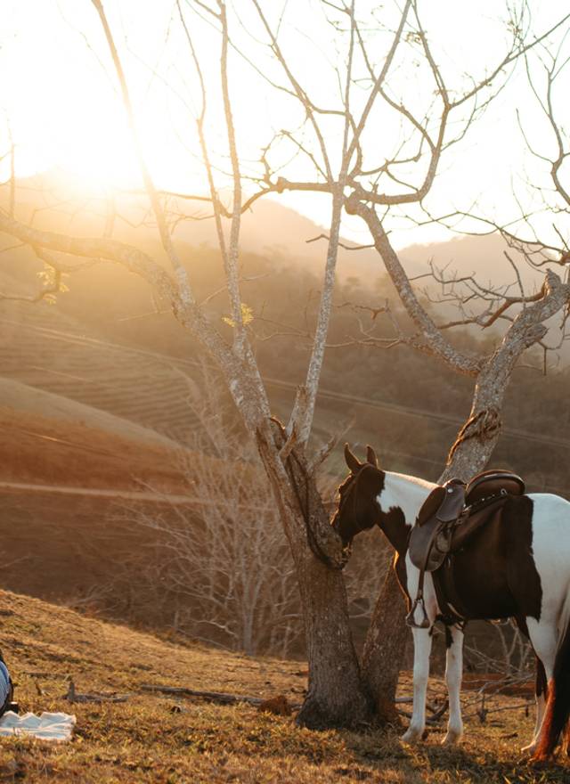ENSAIO de CHIARA & ARTHUR