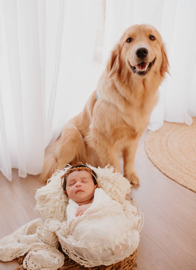 Newborn de Newborn Olivia - 11 dias